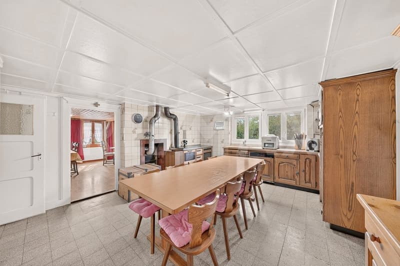 Une ferme, 8'482 m² de terrain et mille possibilités (4)