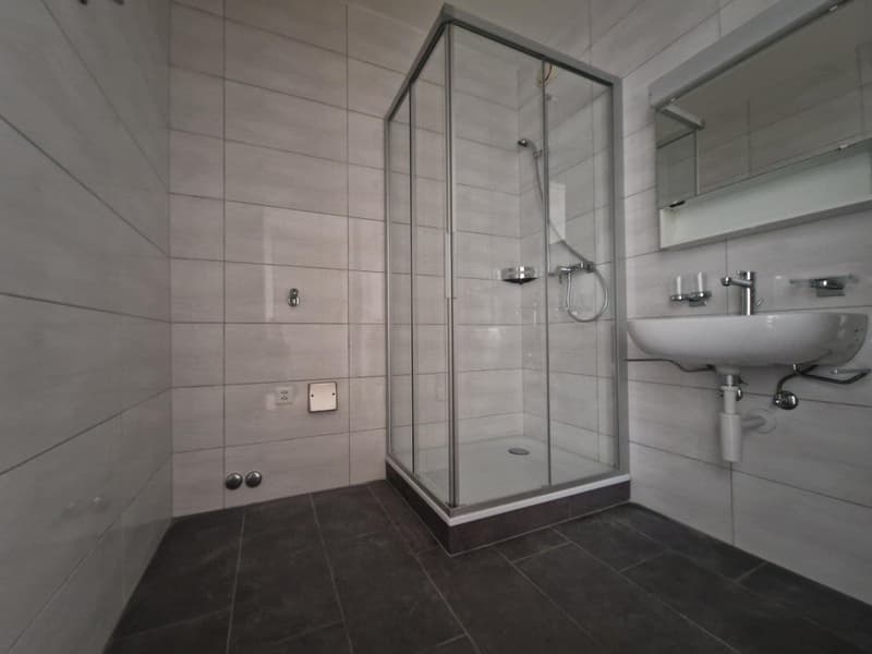 05582 - Bel appartement de 2 pièces - Combe-Grieurin 31 - La Chaux-de-Fonds (4)
