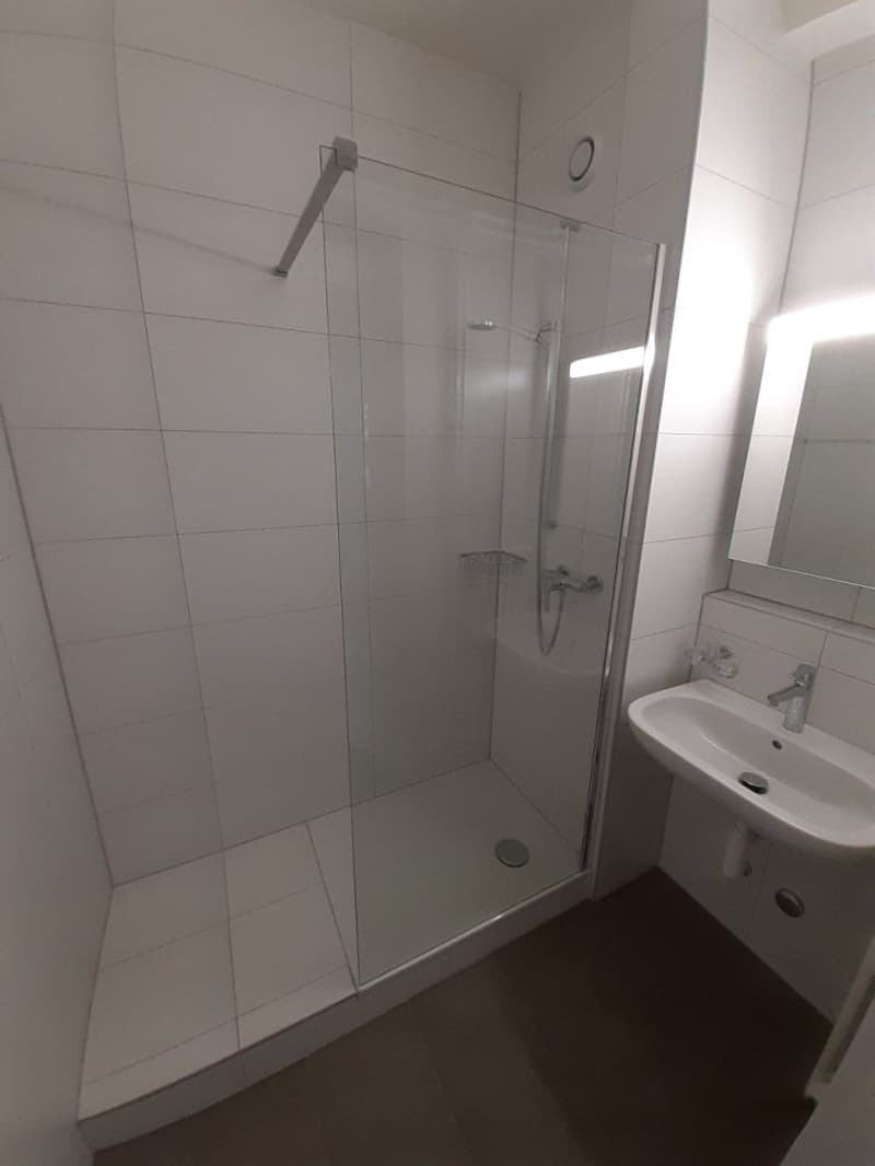 00210 - Appartement avec cachet entièrement rénové - Doubs 119 - La Chaux-de-Fonds (4)