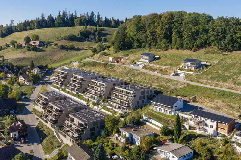 * Ihr Platz für das eigene Zuhause * (8)