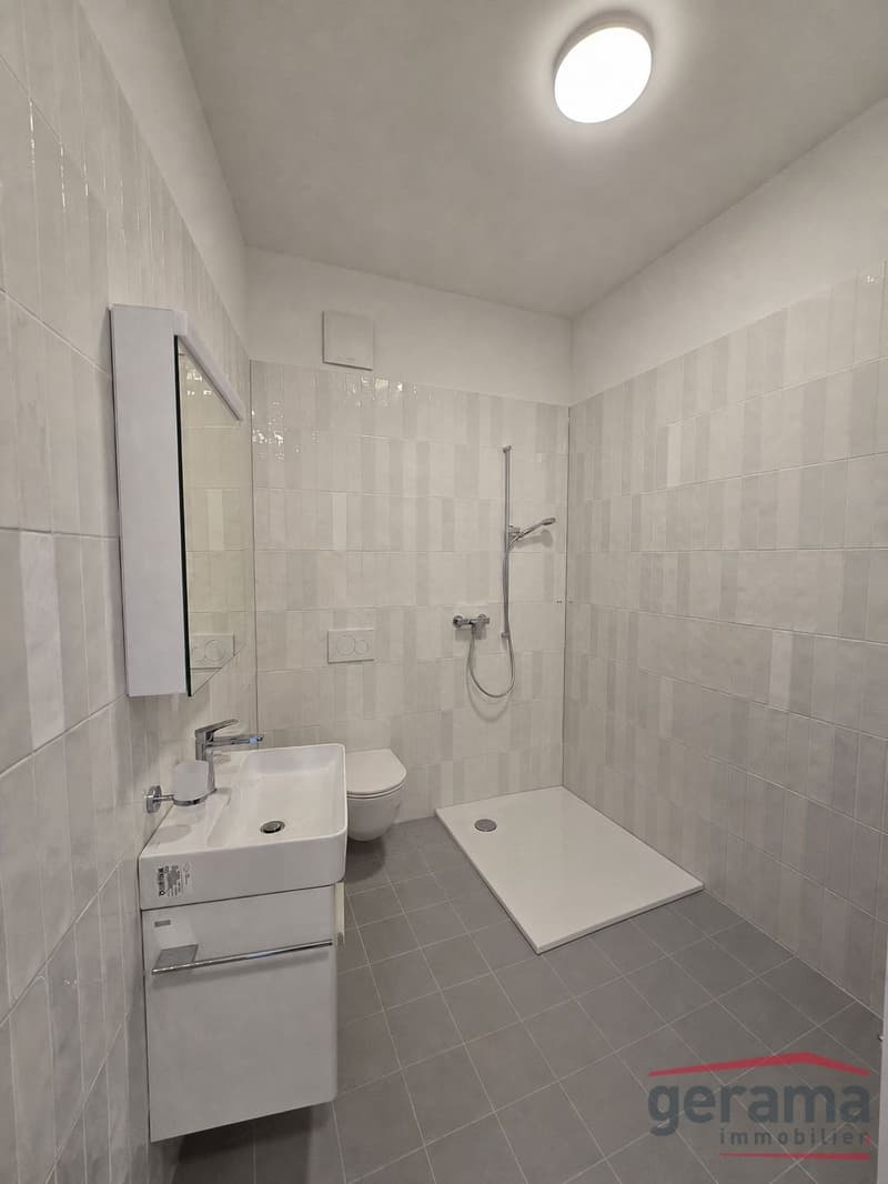 Neue 2.5 Zimmerwohnung in Plaffeien (5)