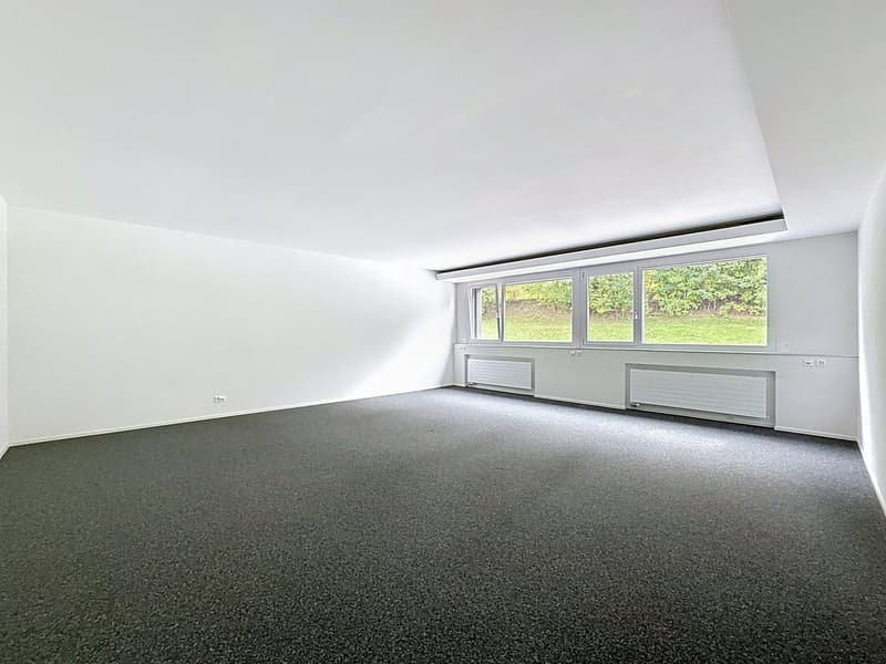 À LOUER - Bureaux de 200m2 à Rossens (3)
