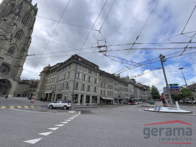 Bel appartement en duplex (8)