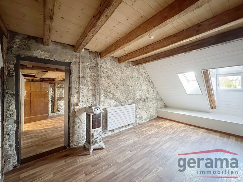 Bel appartement en duplex (2)