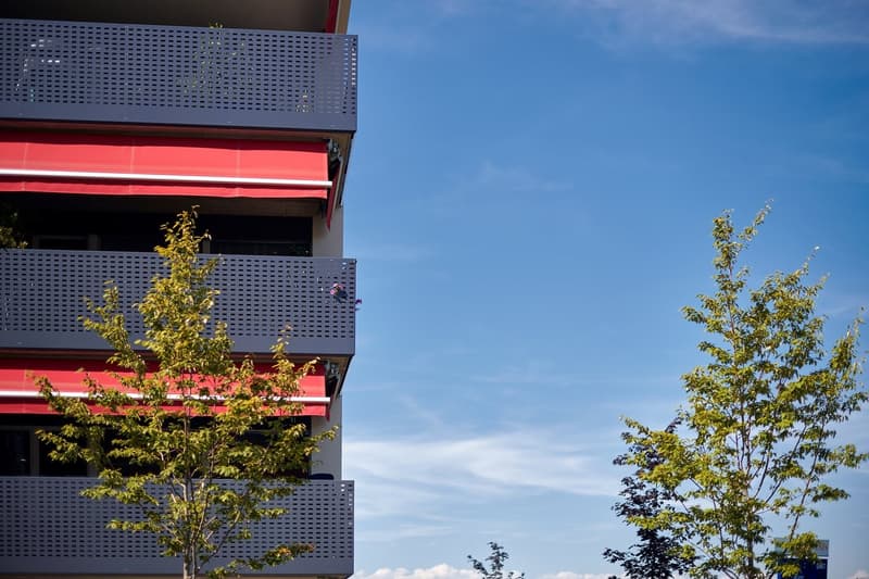 Geräumige 3.5 Zimmerwohnung in St. Antoni (8)