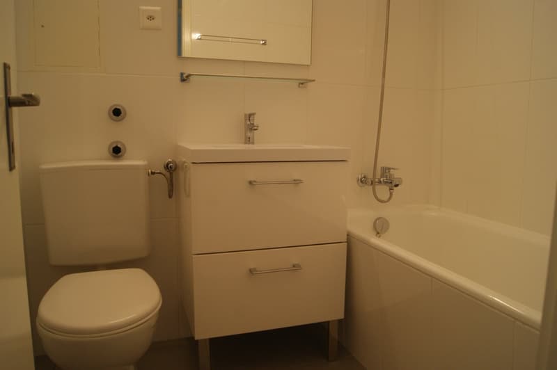 3.5 room apartment in Flamatt (4)