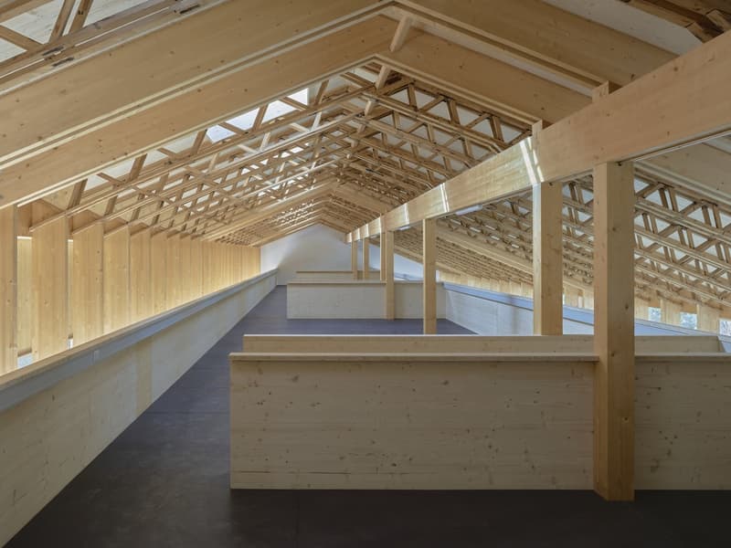 Surfaces commerciales - dès Fr. 160.00/m2/ans (2)