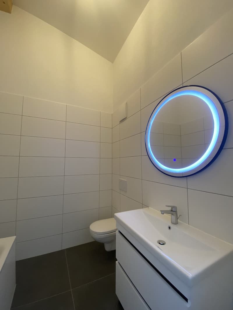 Neue 3.5 Zimmerwohnung in Müntschemier ! (4)