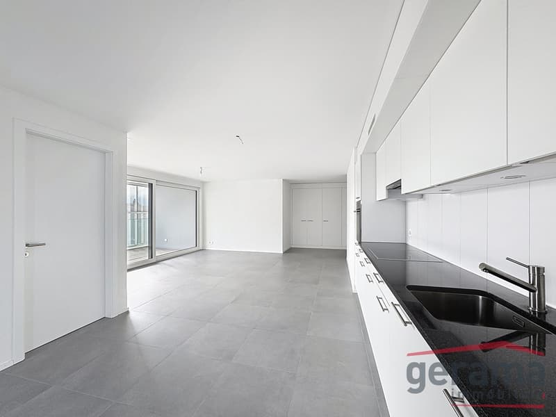 Divers appartements de 2.5 pièces disponibles ! (1)