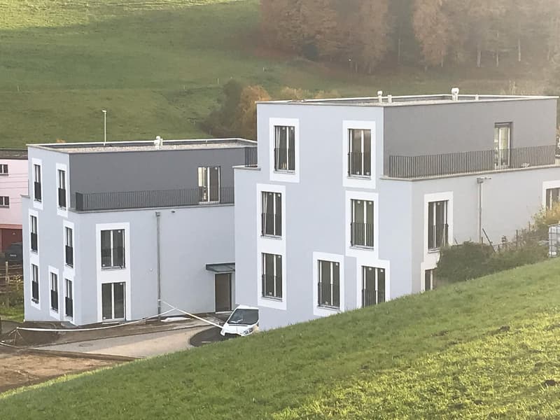 Moderne 5.5 Zimmer-Wohnung in Schmitten! (7)