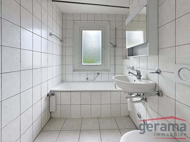 Appartement 4.5 pièces au 4ème étage (3)