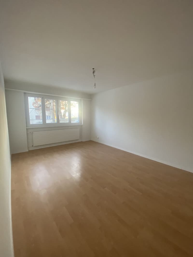 Appartamento di 3,5 locali a Düdungen! (2)
