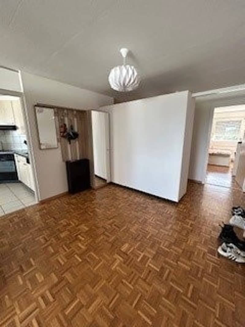 Appartement 3.5 pièces au 3ème étage (2)