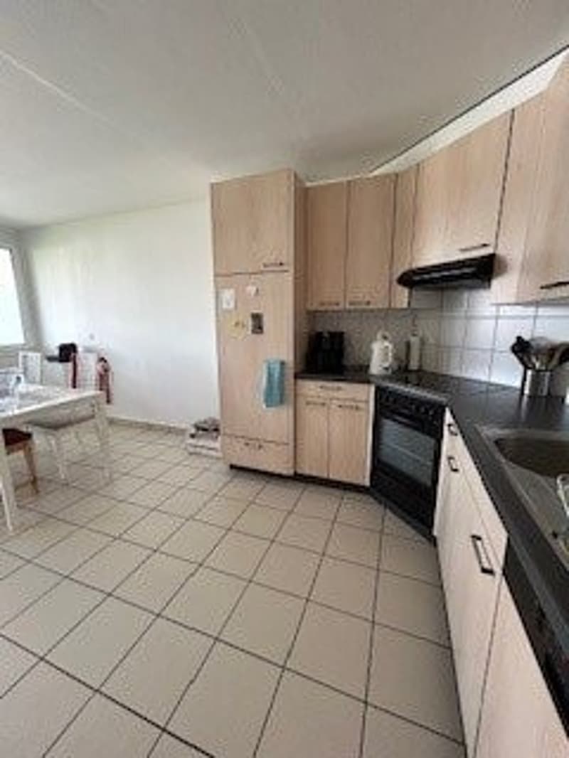 Appartement 3.5 pièces au 3ème étage (3)