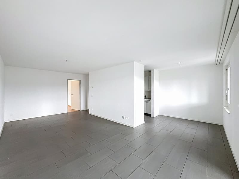 Appartement 3,5 pièces au 1er étage (2)