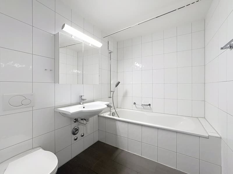 Appartement 3,5 pièces au 1er étage (4)