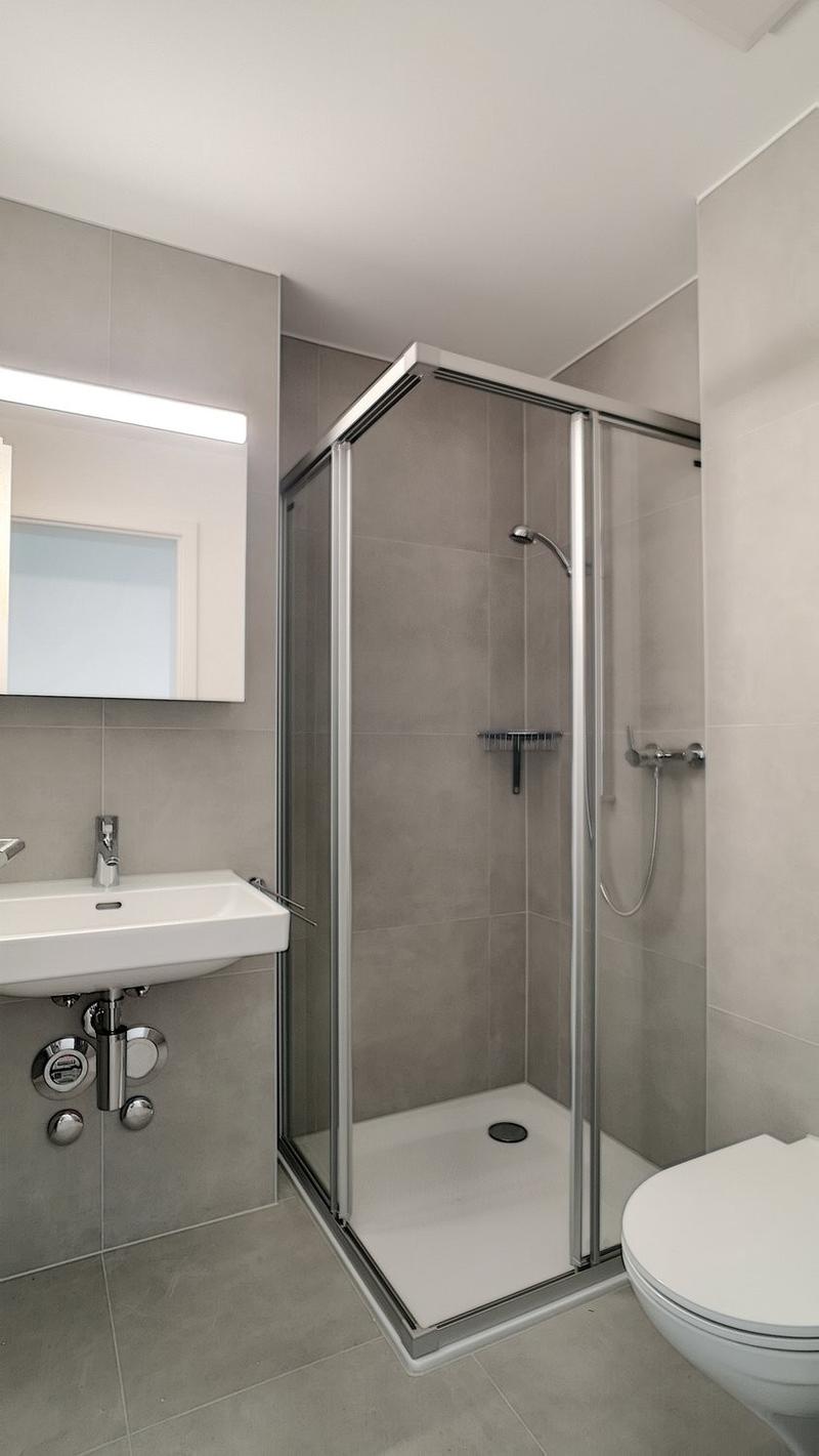 Moderne 4.5 Zimmerwohnung in Heitenried (5)