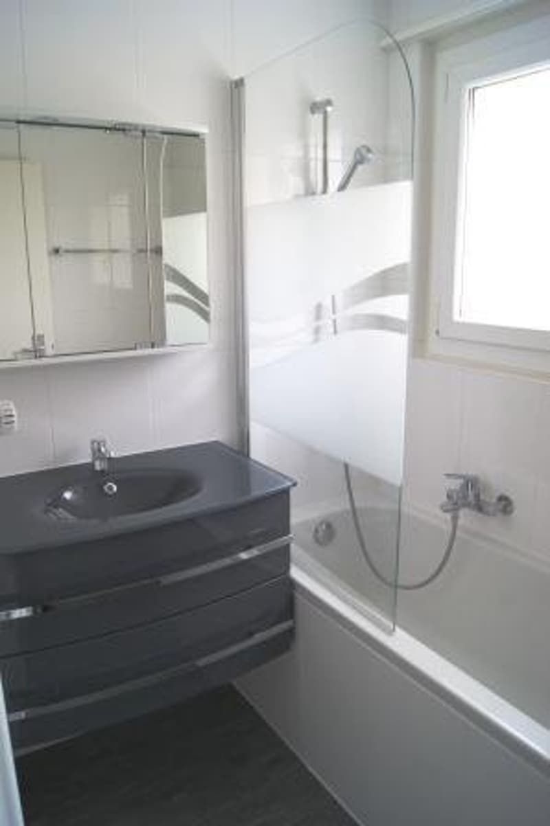 4.0 Zimmer-Wohnung in Plaffeien (5)