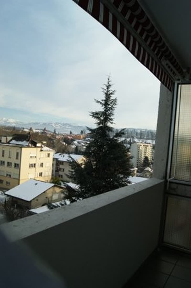 1,5 pièce dans le quartier du Jura (4)
