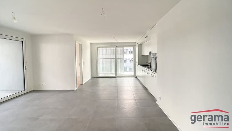 Appartement de 3.5pcs au 12ème et dernier étage (2)