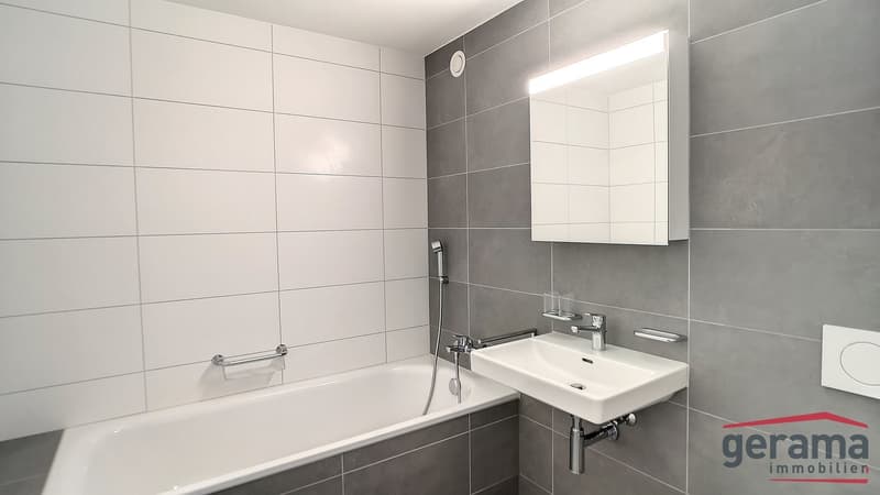Appartement de 3.5pcs au 12ème et dernier étage (4)