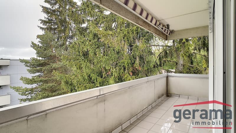 Appartement 3.5 pièces au 3ème (6)