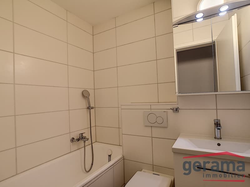 salle de bains baignoire