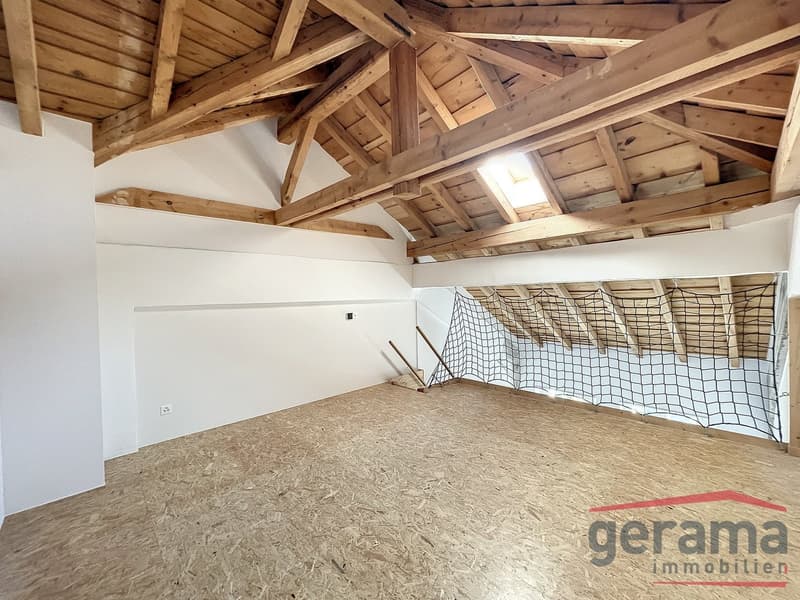 Lumineux appartement de 1.5 pièces au 4ème étage (2)