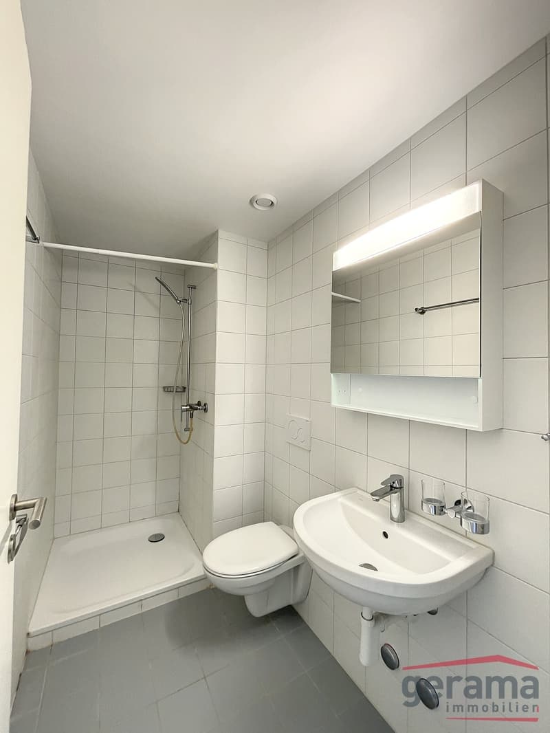 Lumineux appartement de 1.5 pièces au 4ème étage (3)
