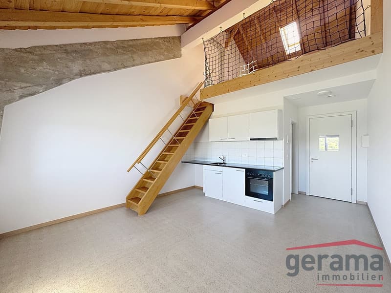 Lumineux appartement de 1.5 pièces au 4ème étage (1)