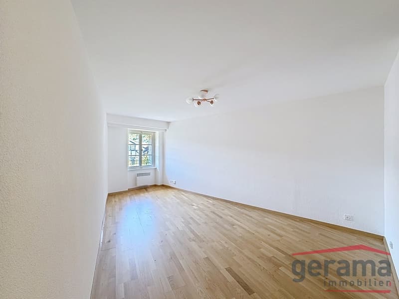 Logement lumineux 3.5 pièces en vieille ville (3)