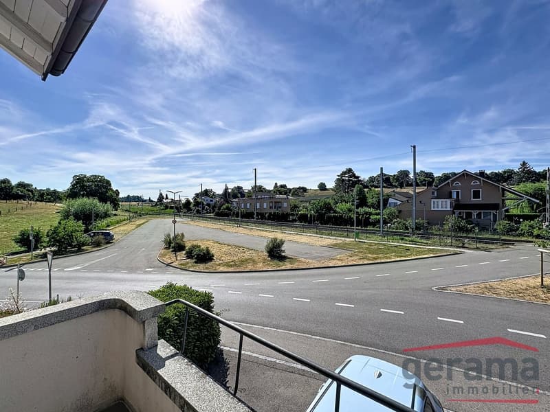 Villa 6.5 pièces à Grolley ! (5)