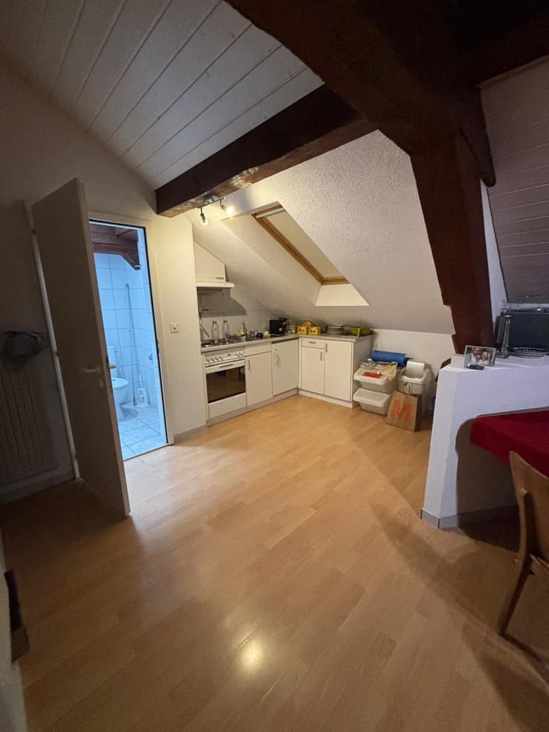 Appartement 2.5 pièces au centre de Fribourg ! (1)