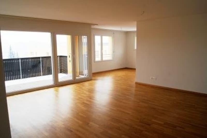 Schöne 4.5 Zimmerwohnung in Wünnewil ! (2)