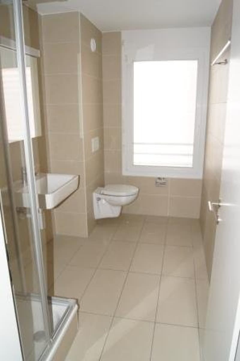 Schöne 4.5 Zimmerwohnung in Wünnewil ! (4)