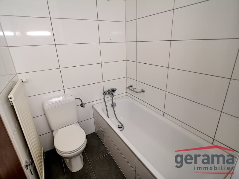 Appartement 2.5 pièces (4)