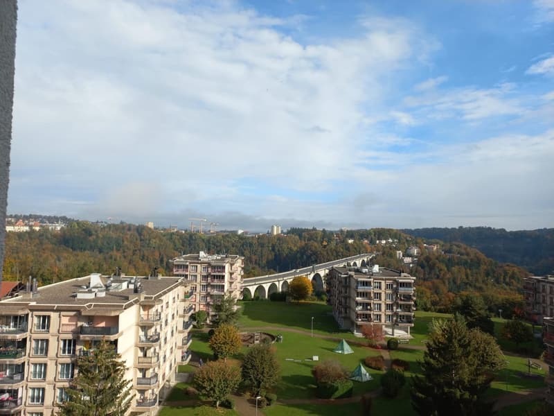 Appartement avec vue 2,5 pièces au 10ème étage (6)