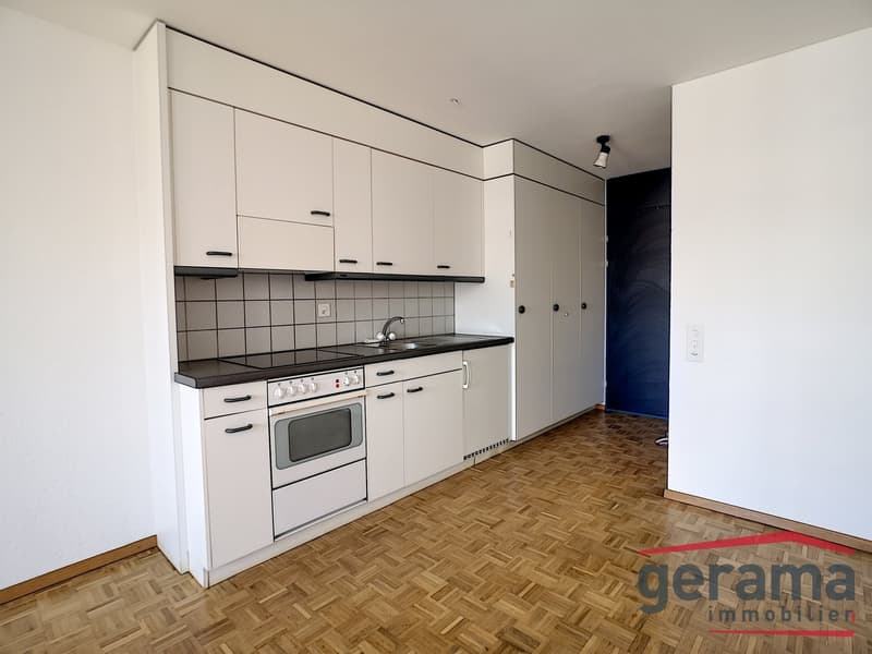 Appartement 1.5 pièce (1)