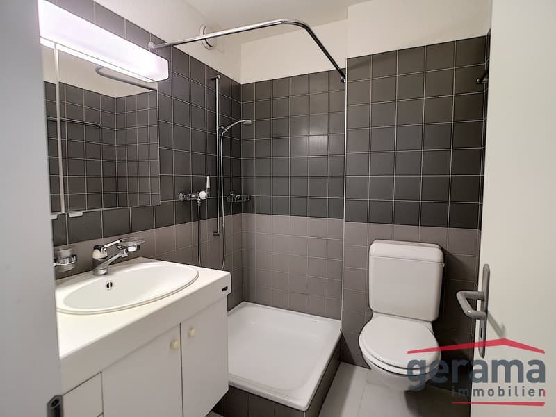 Appartement 1.5 pièce (3)