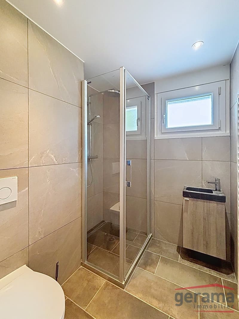 Charmant appartement de 5.5 pièces (4)