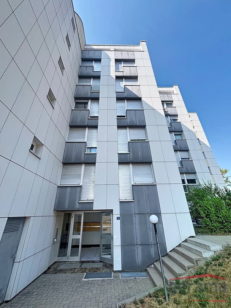 Charmant appartement de 5.5 pièces (8)