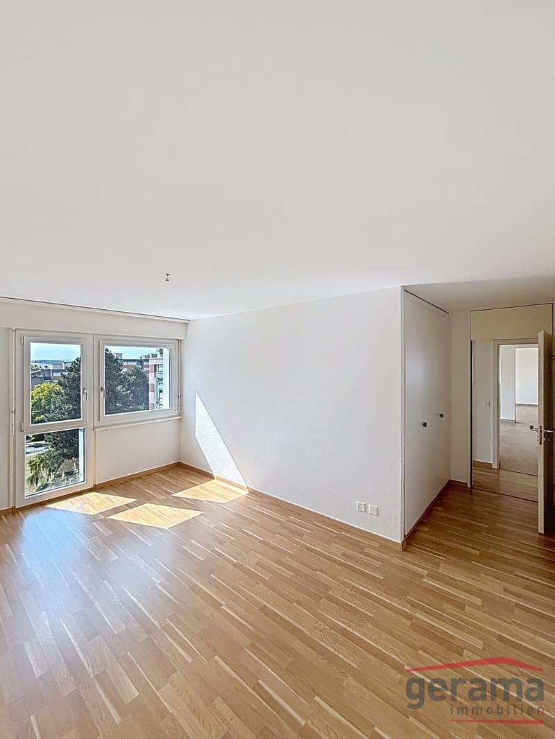Charmant appartement de 5.5 pièces (3)