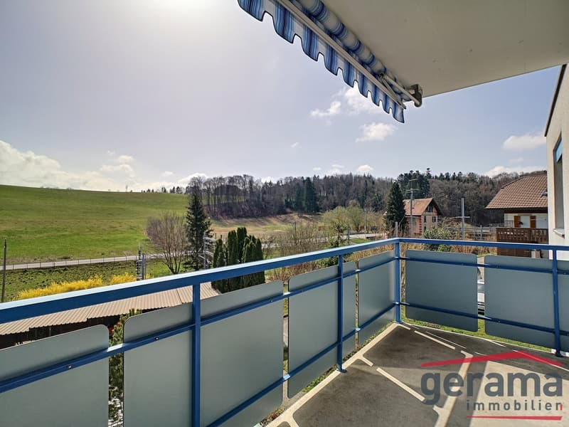 Schöne 4.5 Zimmerwohnung in Schmitten (4)