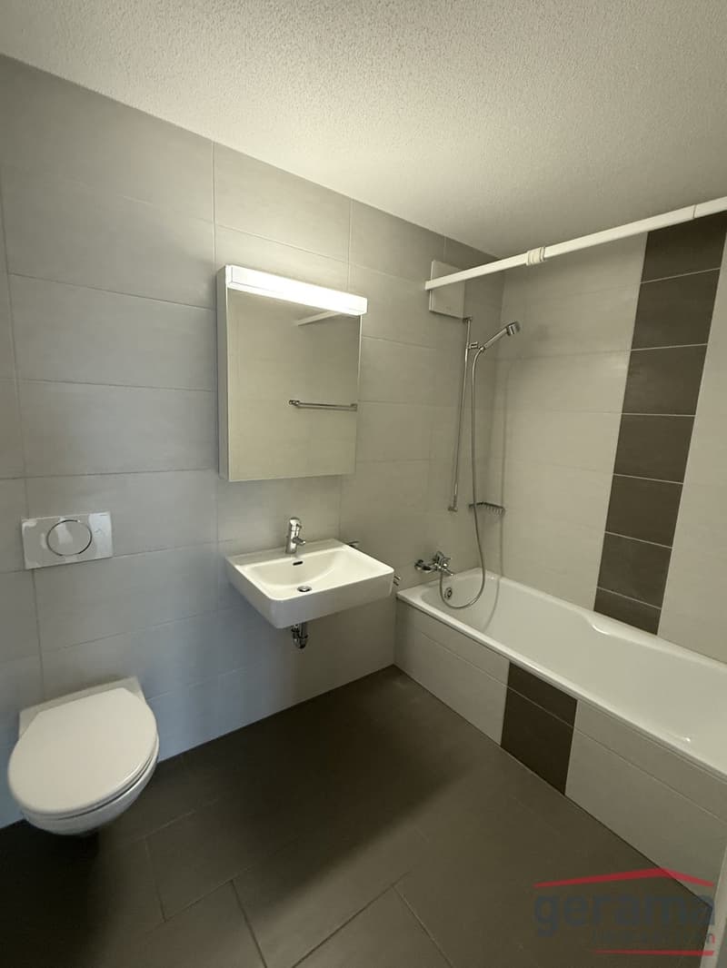 Appartement 2,5 pièces au 3ème étage (4)