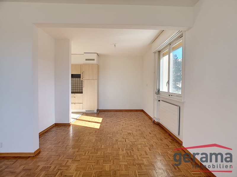 Bel appartement 3.5 pièces (2)