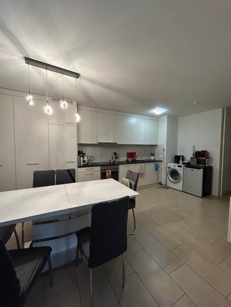 Appartement 3,5 pièces renové à Fribourg (1)