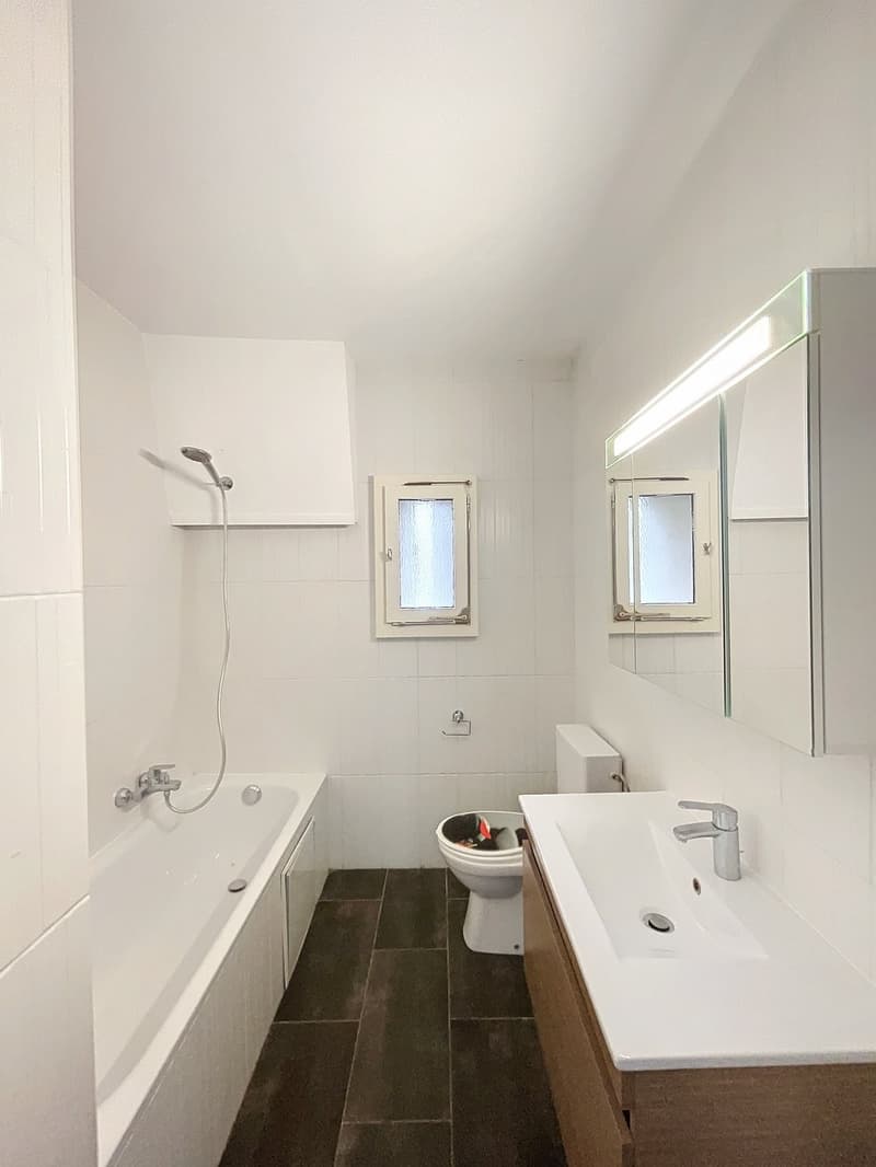Logement de 3.5 pièces avec vue sur le lac (3)