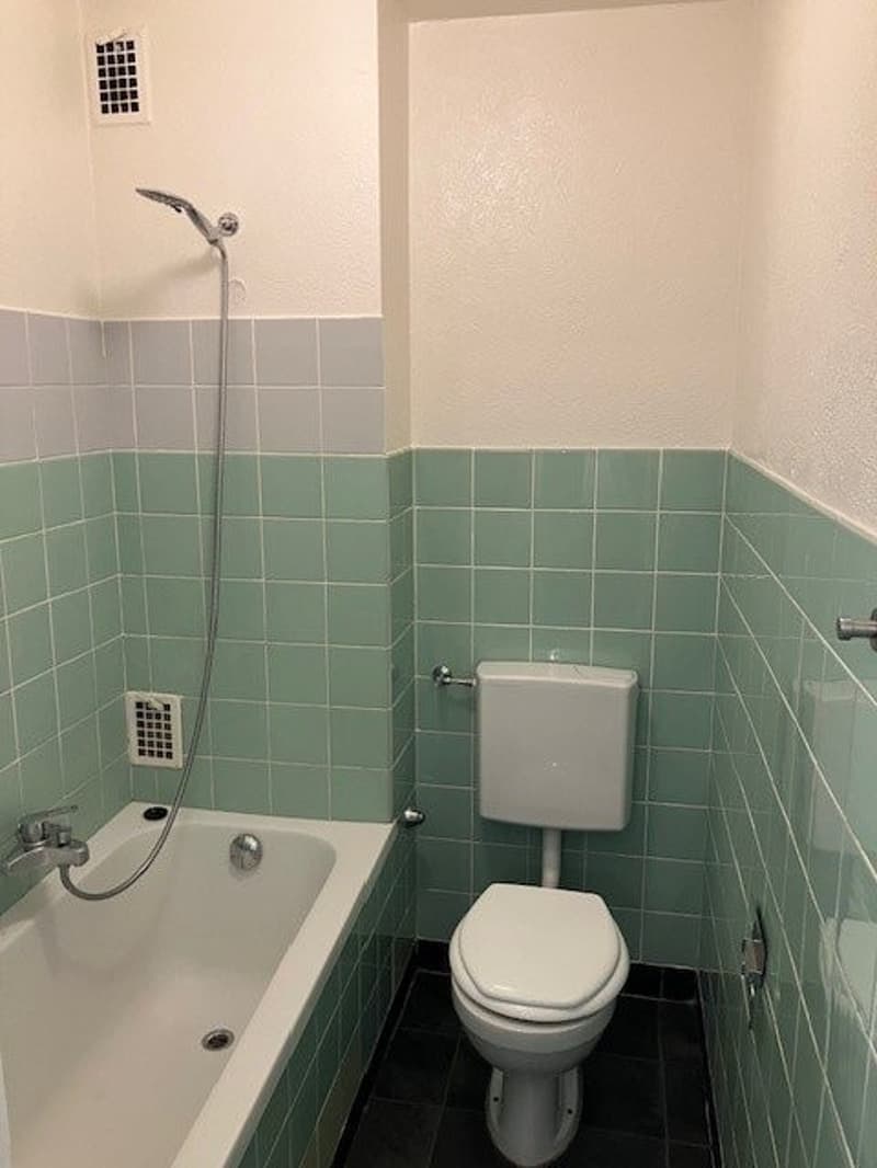 Appartement 3.5 pièces au 2ème (3)