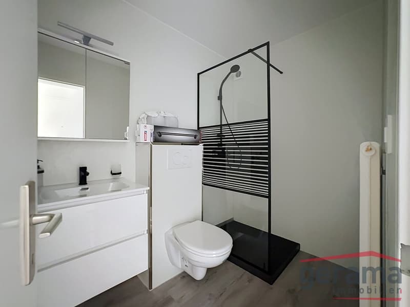 Bel appartement rénové 4.5 pièces à Avenches (5)