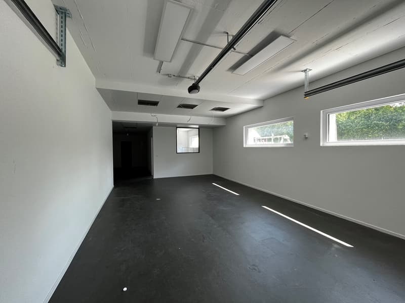 Dépôt - Local de 120 m2 à louer à Belfaux ! (1)